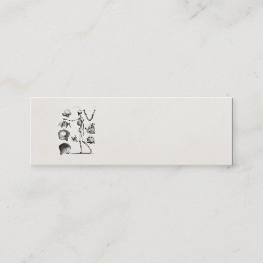 ヴィンテージの19世紀の骨組旧式な解剖学の骨組 スキニー名刺 (正面)