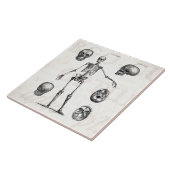 ヴィンテージの19世紀の骨組旧式な解剖学の骨組 タイル (側面)