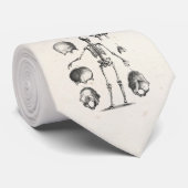 ヴィンテージの19世紀の骨組旧式な解剖学の骨組 ネクタイ (ロール)