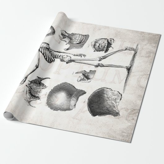 ヴィンテージの19世紀の骨組旧式な解剖学の骨組 ラッピングペーパー (アンロールド)