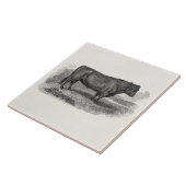 ヴィンテージの19世紀のBullのイラストレーションレトロ牛雄牛 タイル (側面)