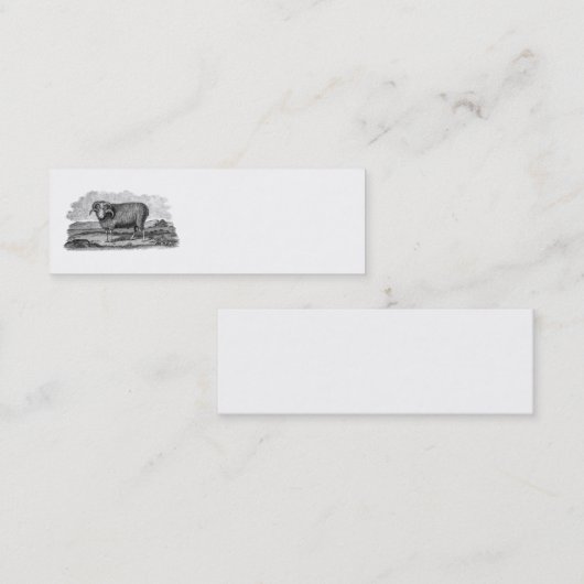ヴィンテージの19世紀のMerinoヒツジのラムの子ヒツジのテンプレート スキニー名刺 (正面/裏面)