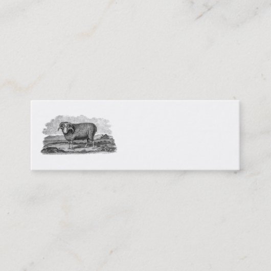 ヴィンテージの19世紀のMerinoヒツジのラムの子ヒツジのテンプレート スキニー名刺 (正面)