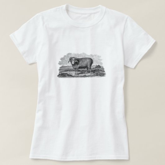 ヴィンテージの19世紀のMerinoヒツジのラムの子ヒツジのテンプレート Tシャツ (デザイン正面)