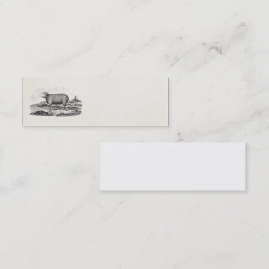 ヴィンテージの19世紀のMerinoヒツジの雌ヒツジの子ヒツジのテンプレート スキニー名刺 (正面/裏面)