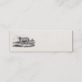 ヴィンテージの19世紀のMerinoヒツジの雌ヒツジの子ヒツジのテンプレート スキニー名刺 (正面)