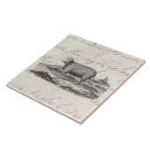 ヴィンテージの19世紀のMerinoヒツジの雌ヒツジの子ヒツジのテンプレート タイル (側面)