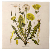 ヴィンテージの19世紀は花柄を播くために行くタンポポを黄色にします タイル (正面)