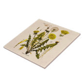 ヴィンテージの19世紀は花柄を播くために行くタンポポを黄色にします タイル (側面)