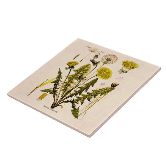 ヴィンテージの19世紀は花柄を播くために行くタンポポを黄色にします タイル (側面)