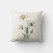 ヴィンテージの1902年のデイジーの古い野生花のイラストレーション クッション (正面)