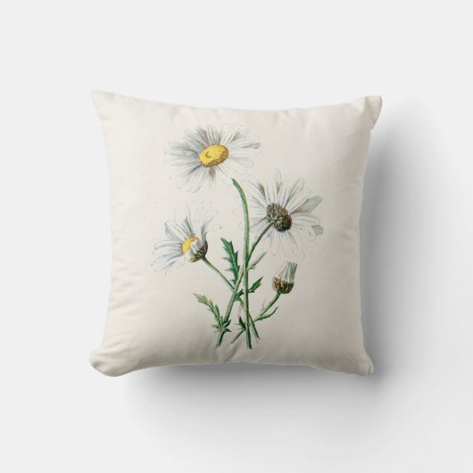 ヴィンテージの1902年のデイジーの古い野生花のイラストレーション クッション (正面)