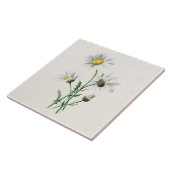 ヴィンテージの1902年のデイジーの古い野生花のイラストレーション タイル (側面)