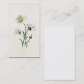 ヴィンテージの1902年のデイジーの古い野生花のイラストレーション 名刺 (正面/裏面)