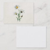 ヴィンテージの1902年のデイジーの古い野生花のイラストレーション 名刺 (正面/裏面)