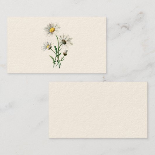 ヴィンテージの1902年のデイジーの古い野生花のイラストレーション 名刺 (正面/裏面)