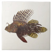 ヴィンテージの1905年のミノカサゴのカサゴのレトロのライオンの魚 タイル (正面)