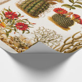 ヴィンテージの1911年のサボテンの花の古い花のイラストレーション ラッピングペーパー (角)