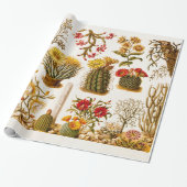 ヴィンテージの1911年のサボテンの花の古い花のイラストレーション ラッピングペーパー (アンロールド)