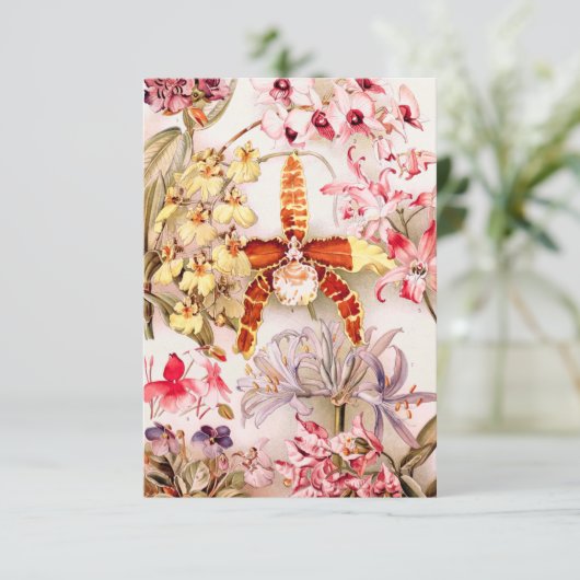 ヴィンテージの1911年の蘭のピンクの花の古いイラストレーション カード (スタンド正面)