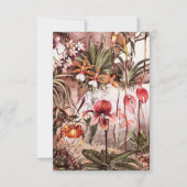 ヴィンテージの1911年の蘭の花の変化のイラストレーション カード (正面)