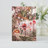 ヴィンテージの1911年の蘭の花の変化のイラストレーション カード (スタンド正面)