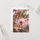 ヴィンテージの1911年の蘭の花の変化のイラストレーション カード (正面/裏面インサイチュ)