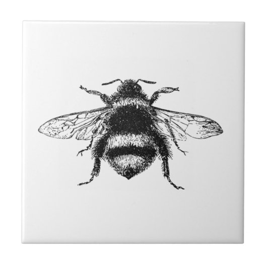ヴィンテージの《昆虫》マルハナバチ タイル (正面)