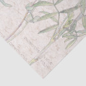 ヴィンテージのBirdsfootの野生の花によってはティッシュペーパーが開花します 薄葉紙 (詳細)