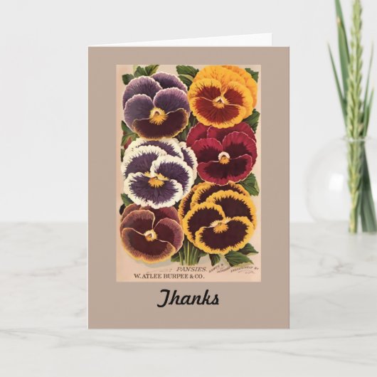 ヴィンテージのBurpeeによって分類されるパンジー サンキューカード (正面)
