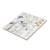 ヴィンテージのButterwortの野生の花によってはタイルが開花します タイル (側面)