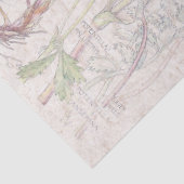 ヴィンテージのCinquefoilの野生の花によってはティッシュペーパーが開花します 薄葉紙 (詳細)