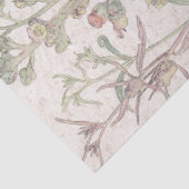 ヴィンテージのFoxgloveの野生の花によってはティッシュペーパーが開花します 薄葉紙 (詳細)