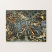 ヴィンテージのHaeckelのカエルおよびヒキガエル ジグソーパズル (横)