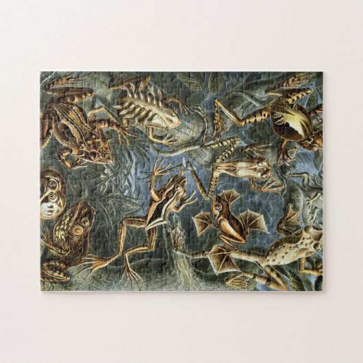 ヴィンテージのHaeckelのカエルおよびヒキガエル ジグソーパズル (横)