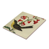 ヴィンテージのKirtlandsのアメリカムシクイの鳥 タイル (側面)