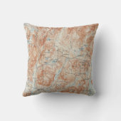 ヴィンテージのSchroon湖のニューヨークの地形図 クッション (裏面)