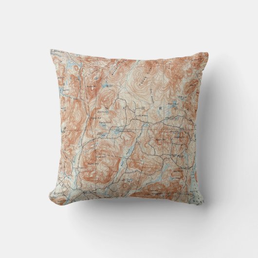 ヴィンテージのSchroon湖のニューヨークの地形図 クッション (正面)