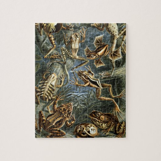 ヴィンテージのToads and Frogs Batracia by Ernst Haeckel ジグソーパズル (縦)