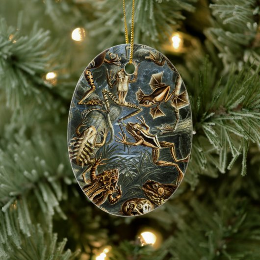 ヴィンテージのToads and Frogs Batracia by Ernst Haeckel セラミックオーナメント (ツリー)