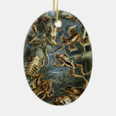 ヴィンテージのToads and Frogs Batracia by Ernst Haeckel セラミックオーナメント (裏面)