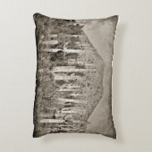 ヴィンテージのTonto山およびサグアロのアクセントの枕 アクセントクッション (裏面(縦))