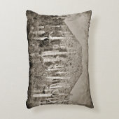 ヴィンテージのTonto山およびサグアロのアクセントの枕 アクセントクッション (正面(垂直))