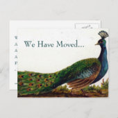 ヴィンテージはがきの孔雀の変更 案内ポストカード (正面/裏面)