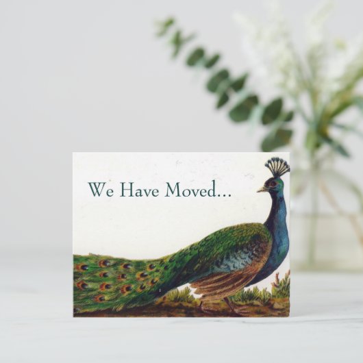 ヴィンテージはがきの孔雀の変更 案内ポストカード (スタンド正面)