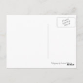 ヴィンテージはがき ポストカード (裏面)