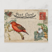 ヴィンテージはがき ポストカード (正面)