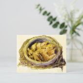 ヴィンテージはがき ポストカード (スタンド正面)