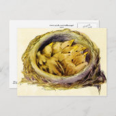 ヴィンテージはがき ポストカード (正面/裏面)