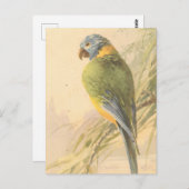 ヴィンテージはがき ポストカード (正面/裏面)